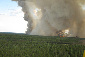 Landscape forest fire