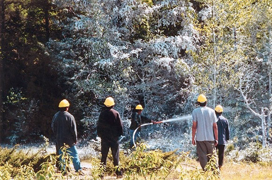 Forest Fire Training photo